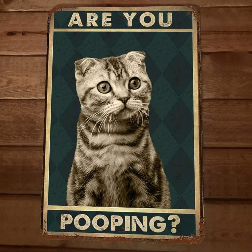 Are You Pooping Cat 8x12 Metal Wall Sign Animal Bathroom Poster‎ #2